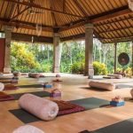 Virtual outdoor meditation retreats